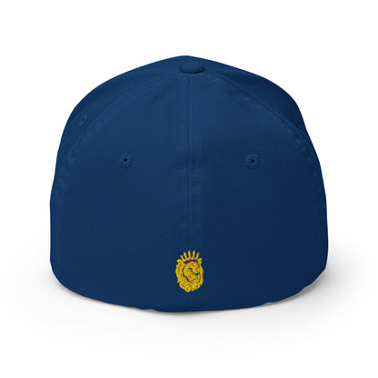 Fitted Stretch ARK Hat