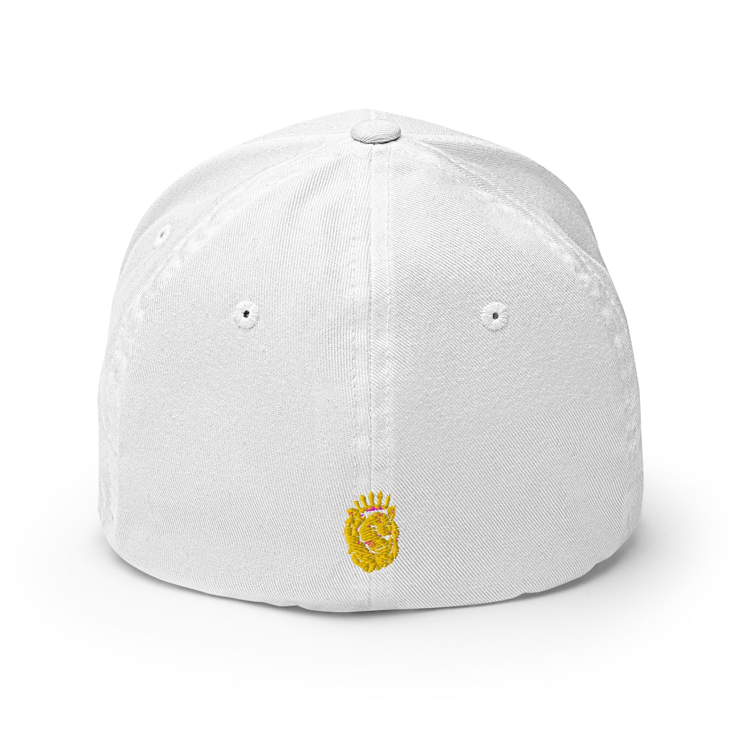 Fitted Stretch ARK Hat