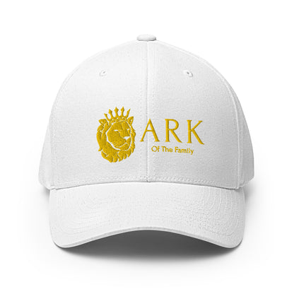 Fitted Stretch ARK Hat